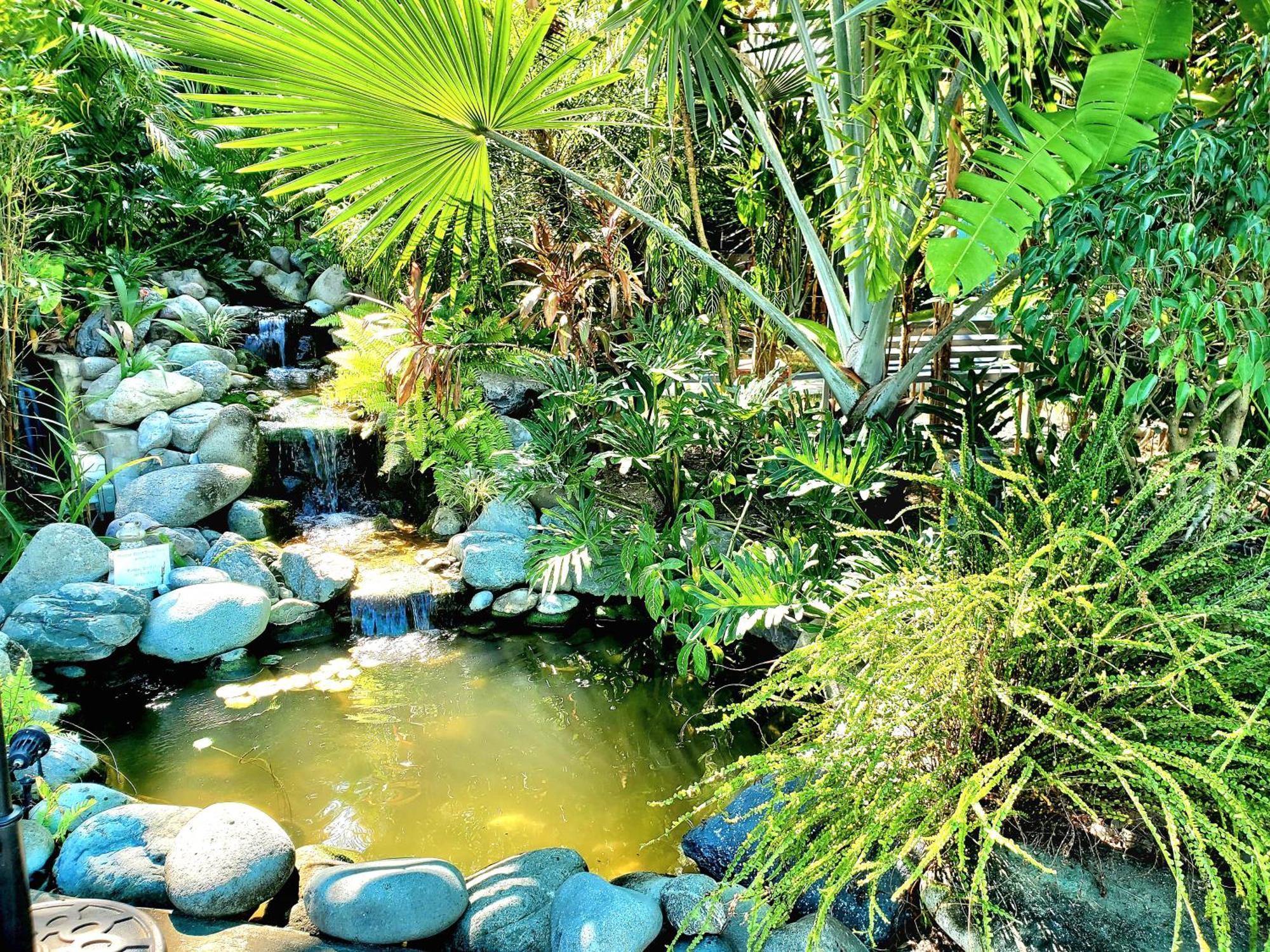 Hidden Palms Inn Сан-Хуан Екстер'єр фото